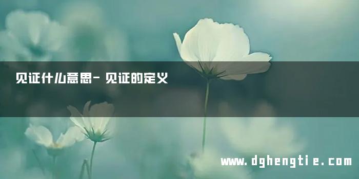 见证什么意思-见证的定义