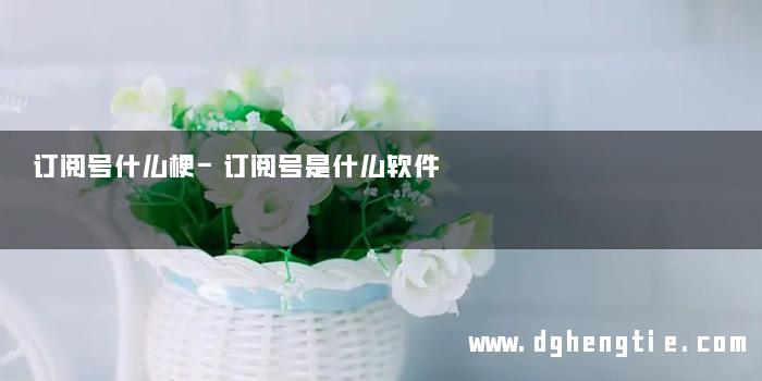 订阅号什么梗-订阅号是什么软件