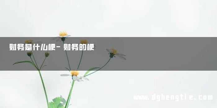 财务是什么梗-财务的梗