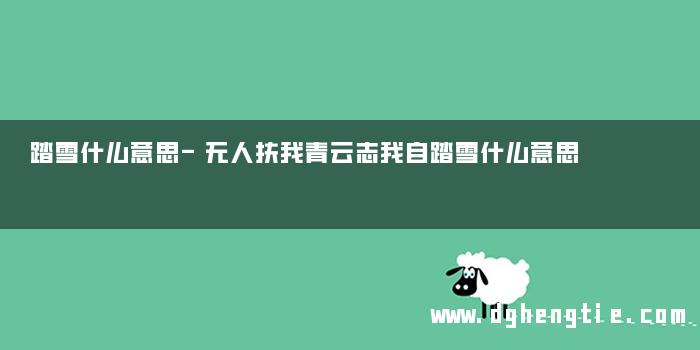 踏雪什么意思-无人扶我青云志我自踏雪什么意思