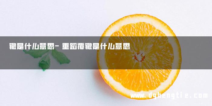 辙是什么意思-重蹈覆辙是什么意思