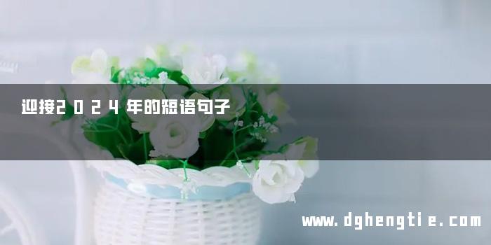 迎接2024年的短语句子
