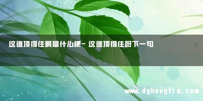 这谁顶得住啊是什么梗-这谁顶得住呀下一句