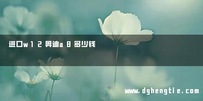 进口w12奥迪a8多少钱