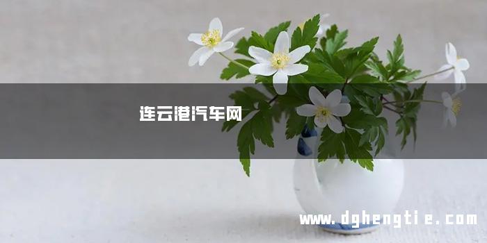 连云港汽车网