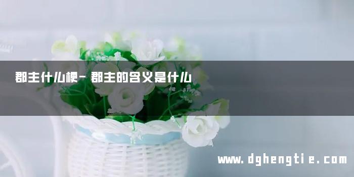 郡主什么梗-郡主的含义是什么