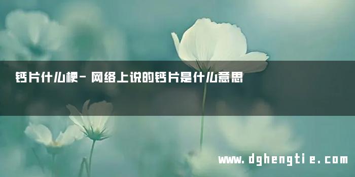 钙片什么梗-网络上说的钙片是什么意思