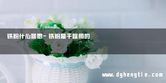 铁粉什么意思-铁粉是干啥用的