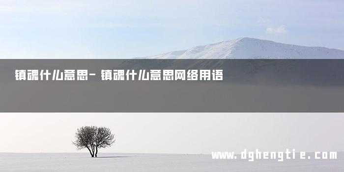镇魂什么意思-镇魂什么意思网络用语
