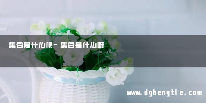 集合是什么梗-集合是什么呀