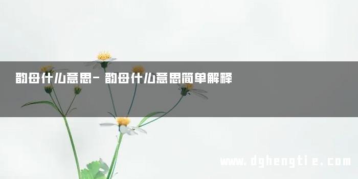 韵母什么意思-韵母什么意思简单解释