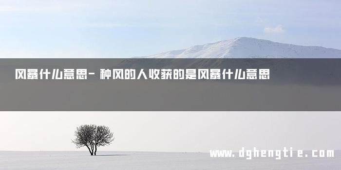 风暴什么意思-种风的人收获的是风暴什么意思