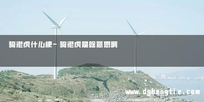 骑老虎什么梗-骑老虎是啥意思啊