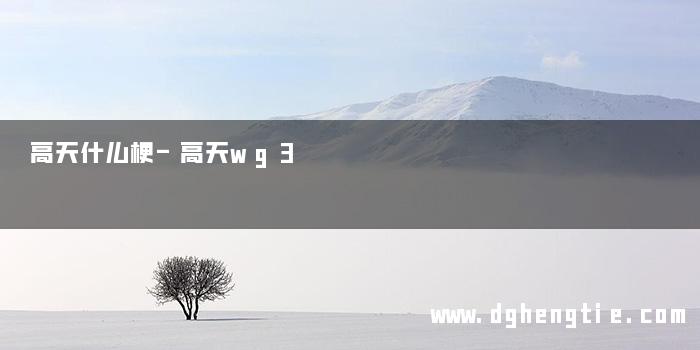 高天什么梗-高天wg3