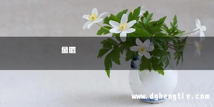 鱼唇