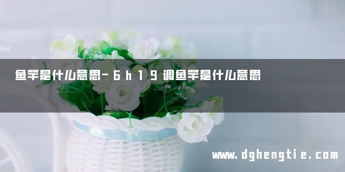 鱼竿是什么意思-6h19调鱼竿是什么意思