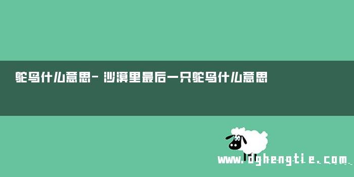 鸵鸟什么意思-沙漠里最后一只鸵鸟什么意思