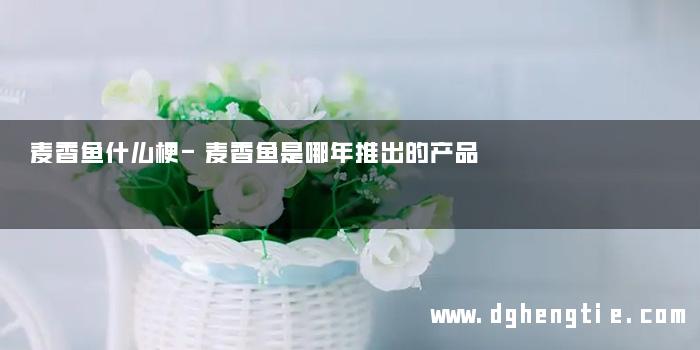麦香鱼什么梗-麦香鱼是哪年推出的产品