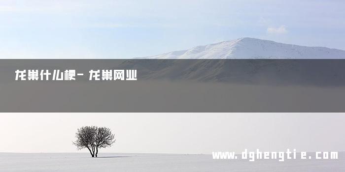 龙巢什么梗-龙巢网业