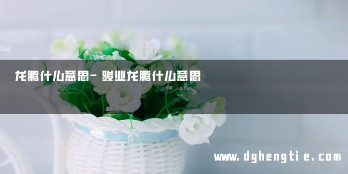龙腾什么意思-骏业龙腾什么意思